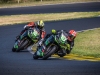 Alpe-Adria-Pannonia-2026-Foto-Pavel-Salaba