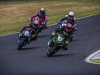 Alpe-Adria-Pannonia-2026-Foto-Pavel-Salaba_123