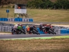 Alpe-Adria-Pannonia-2026-Foto-Pavel-Salaba_49