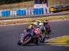 Alpe-Adria-Pannonia-2026-Foto-Pavel-Salaba_51
