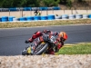 Alpe-Adria-Pannonia-2026-Foto-Pavel-Salaba_52