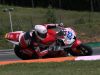 Alpe-Adria-Brno-2024-Foto-Jaroslav-Hanus_85