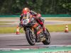 Alpe-Adria-Brno-2024-Foto-Pavel-Salaba_16