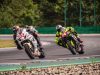 Alpe-Adria-Brno-2024-Foto-Pavel-Salaba_18