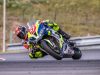 Alpe-Adria-Brno-2024-Foto-Pavel-Salaba_95