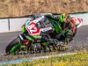 Alpe-Adria-Brno-2025-Foto-Pavel-Salaba_139
