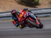 Alpe-Adria-Brno-2025-Foto-Pavel-Salaba_90