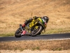 Alpe-Adria-Pannonia-ring-2025-Foto-Pavel-Salaba_63