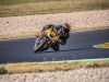 Alpe-Adria-Pannonia-ring-2025-Foto-Pavel-Salaba_97