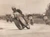 1960 srna2