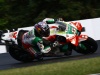 Brno-MotoGP-2025-Foto-Jan-Stukl_40