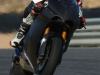 McCoy-Estorill-testt