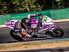 Alpe-Adria-Brno-2026-Foto-Pavel-Salaba_113