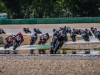 Alpe-Adria-Brno-2026-Foto-Pavel-Salaba_26