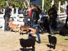 Minifarma 2018_16