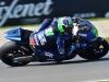 2015-M2-21-Morbidellii_9475_1