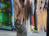 DSCF0574