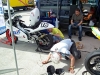 Pannonia_Bellas-11