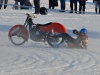 DSC_0099-2-kopie