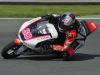 2012-M3-39-Salom_0332